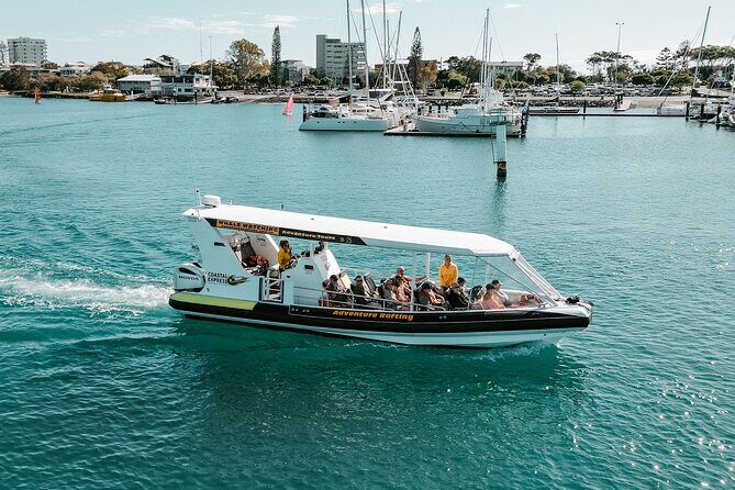 Mooloolaba Whale Watching  Small Group Tour - Who Will Love This Tour?
