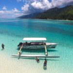 Moorea 6-Hour Snorkeling and Lunch Shared Tour - The Practicalities: What to Expect and What to Consider
