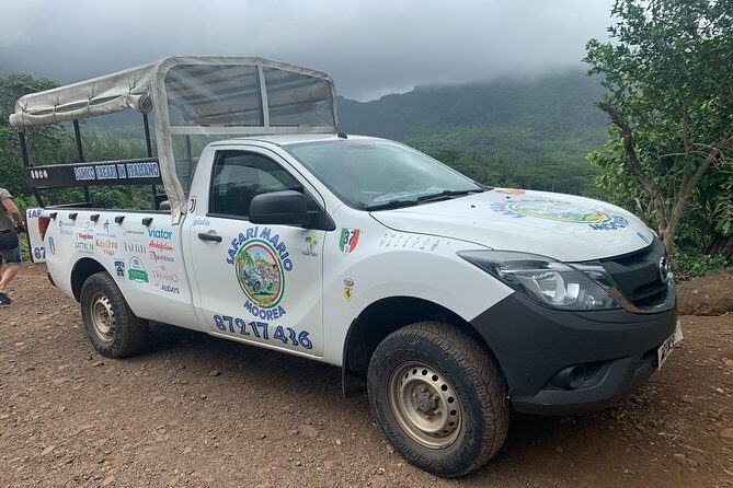 Moorea Cruise Ships: 4x4, Belvedere, Pineapple, & Magic Mountain - The Bumpy Ride and Scenic Value