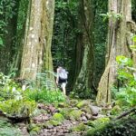 Moorea : Safari Nature and Culture Tour with local guide - What We Love About This Tour