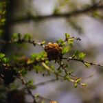 Moraine Lake & Larch Valley Hike - Who Should Consider This Tour?