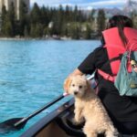 Moraine Lake Sightseeing from Lake Louise Village Samson Mall - What Travelers Say (Based on Reviews and Feedback)