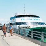 Moreton Island: Tangalooma Day Trip Marine Discovery Cruise - Who Is This Tour Perfect For?