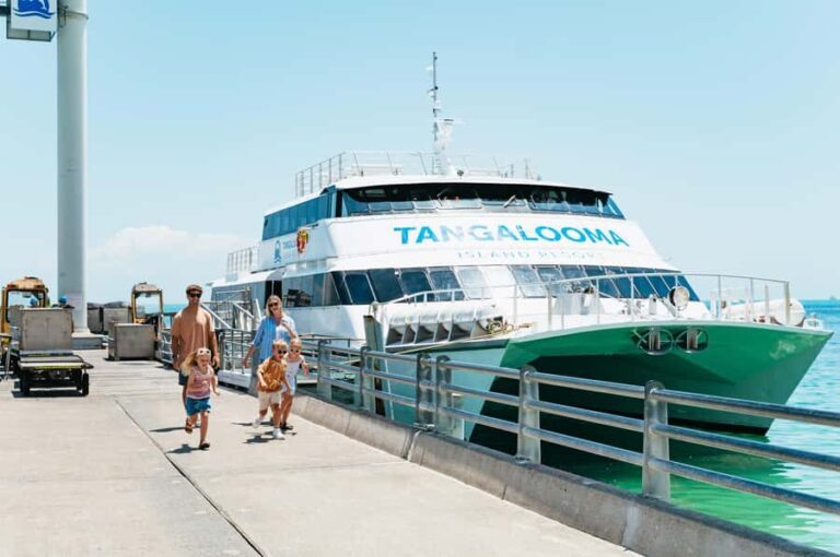 Moreton Island: Tangalooma Day Trip Marine Discovery Cruise - Who Is This Tour Perfect For?