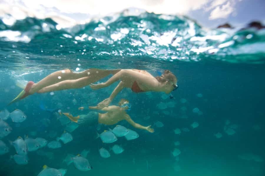 Moreton Island: Tangalooma Snorkelling with Dolphin Viewing - What to Know Before You Go