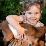 Morning Farm Experience near Gympie & Noosa - The Itinerary in Detail