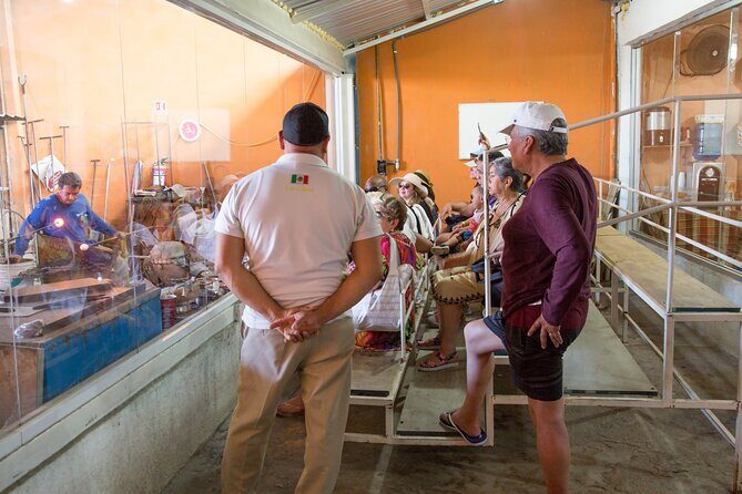 Morning Glory - The Catamaran Cruise: The Showstopper