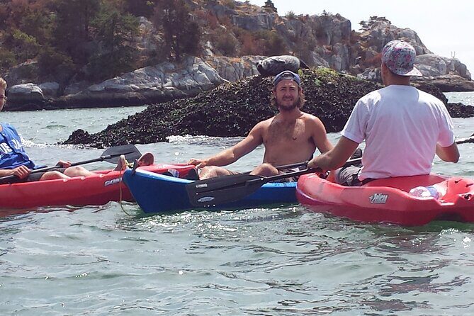 Morning Kayak & Seal Cruise - What’s Included and What to Expect Cost-wise