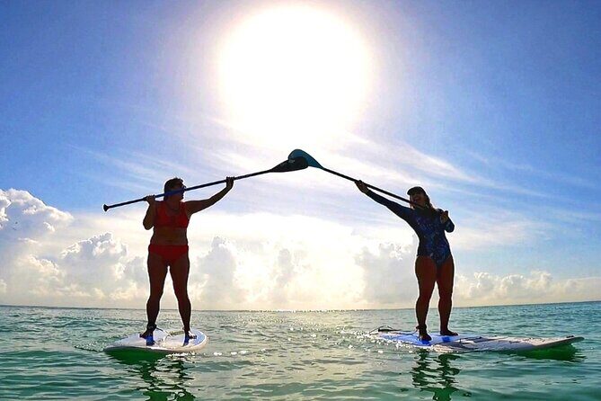 Morning Session - All Levels Paddleboard Group Caribbean Sea - Who Should Book This Tour?