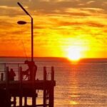 Mornington Peninsula Day Tour. Your Day Your Way. Your group only - Who Will Love This Tour?