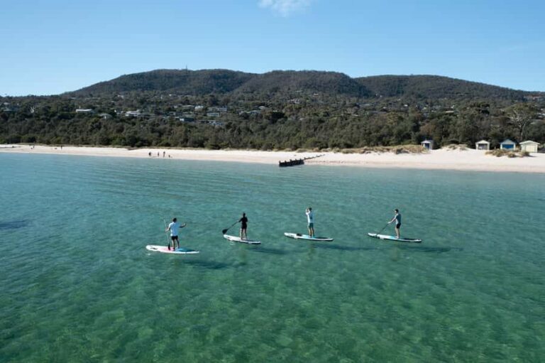 Mornington Peninsula: SUP, Hike, & Hot Springs Trip w/ Lunch - Who Will Appreciate This Tour?