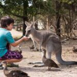 Mornington Peninsula Tour: wildlife, wine, art & hot springs - What We Like and What to Consider