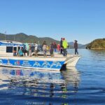 Motuara Wildlife Sanctuary Tour and Dolphin Cruise from Picton - Analyzing the Value: Price, Duration, and Experience Quality