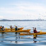 Motukorea / Browns Island Sea Kayak Journey - The Itinerary in Detail