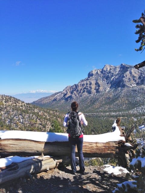 Mount Charleston Driving Adventure: Escape to Nature - Is It Worth the Price?