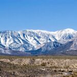 Mount Charleston Tour - Who Will Love This Tour?