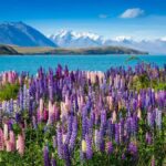 Mount Cook Day Tour: Mount Cook to Christchurch - What the Tour Covers