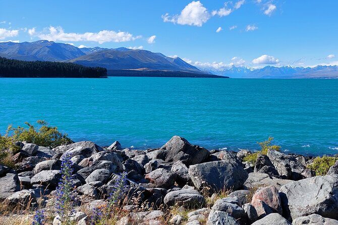 Mount Cook Tour: Finish at Queenstown, Christchurch or Dunedin - What Do the Reviews Say?
