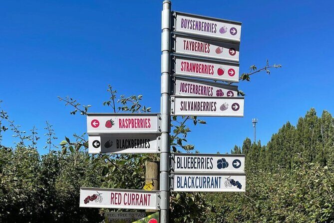 Mount Field And The Derwent Tasting Trail - Mount Field National Park: Nature’s Grandeur