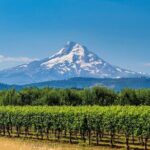 Mount Hood & Columbia River Gorge Air Tour by Envi Adventures - What Travelers Say