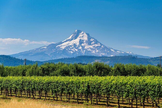 Mount Hood & Columbia River Gorge Air Tour by Envi Adventures - What Travelers Say