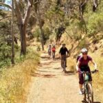 Mount Lofty Descent Bike Tour from Adelaide - The Itinerary in Detail