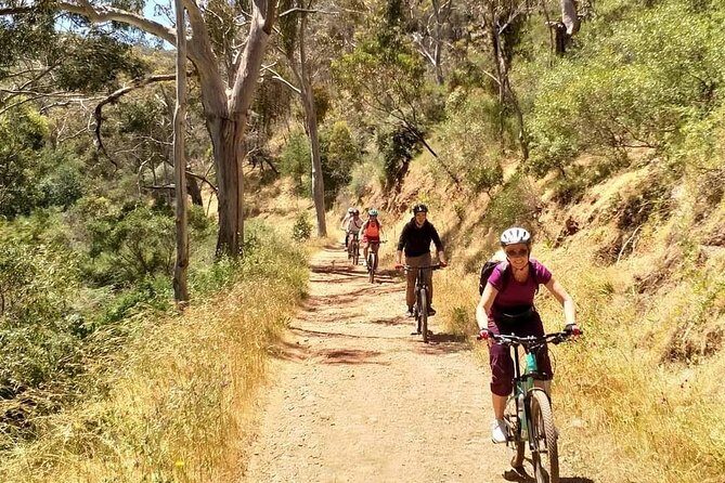 Mount Lofty Descent Bike Tour from Adelaide - The Itinerary in Detail