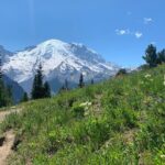 Mount Rainier Full Day Private Tour and Hike - Practical Considerations