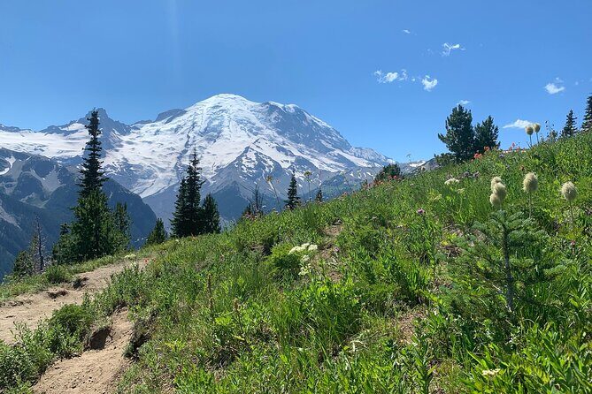 Mount Rainier Full Day Private Tour and Hike - Practical Considerations
