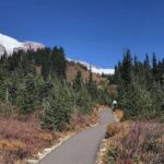 Mount Rainier National Park Day Tour from Seattle - The Itinerary Breakdown