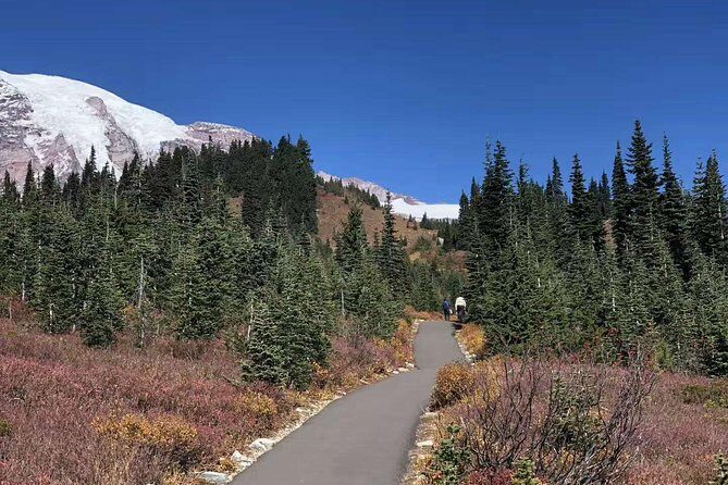 Mount Rainier National Park Day Tour from Seattle - The Itinerary Breakdown
