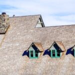 Mount Rainier National Park tour from Seattle - Who Would Love This Tour?