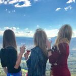 Mount Tamborine Wine Tasting Tour from Brisbane or the Gold Coast - What the Reviews Reveal