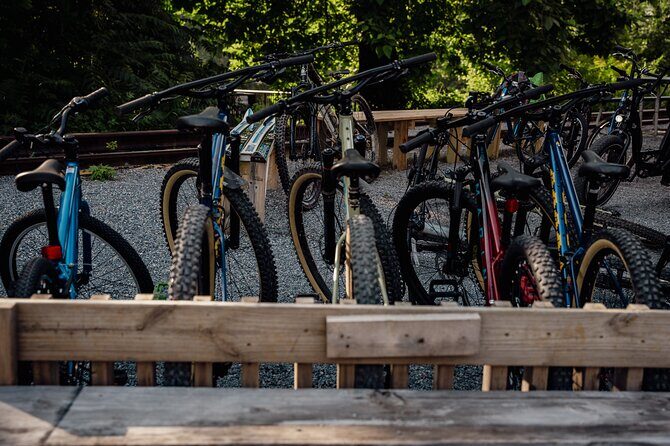 Mountain Bike Tour from The Roanoke Star - Why the Guides Truly Make a Difference