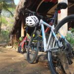 Mountain Bike Tours - Authentic Feedback from Past Participants