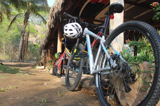 Mountain Bike Tours - Authentic Feedback from Past Participants