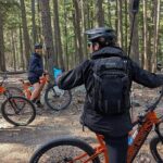 Mountain Breeze Tour - Mountain E Bike - Whistler Marmot Activity - What to Expect on the Tour