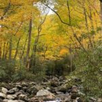 Mountaineer's Way Hike in the Smokies - What to Expect From the Tour