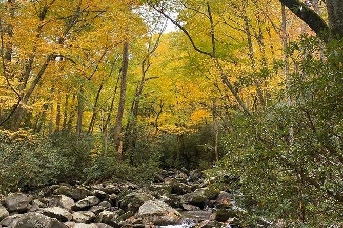 Mountaineer's Way Hike in the Smokies - What to Expect From the Tour