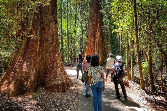 Mt Field National Park and Russell Falls with Bonorong Wildlife - Transportation and Group Size