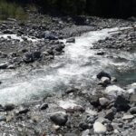 Mt Rainier Private Tour Experience in SUV - Food and Refreshments