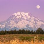 Mt. Rainier tour with Gandola ride at Sunrise and Paradise - The Full Experience: What to Expect