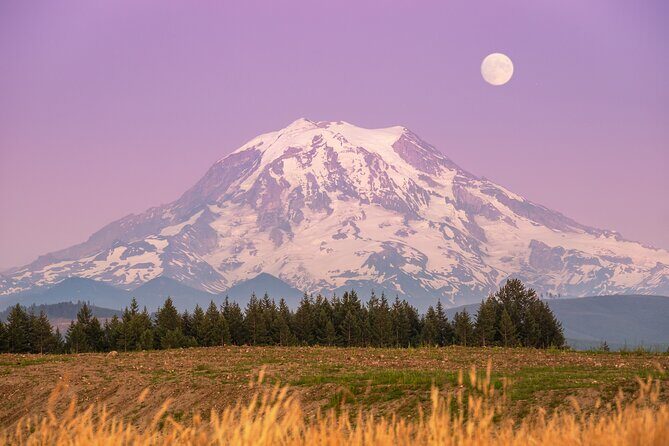 Mt. Rainier tour with Gandola ride at Sunrise and Paradise - The Full Experience: What to Expect