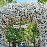 Mt Rushmore Yellowstone and Arches National Parks 6 day Tour - Practical Aspects and What to Expect