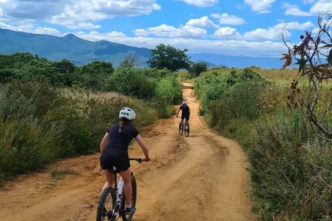 MTB Bike Tour: Monkey Tree + Tule Tree - The Value for Your Money