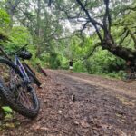 MTB Bike tour to the Monkey Tree + Bread Maker & Tule tree - Price and Value