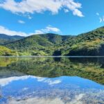 MTB Guided Ride, Tule Tree & Lake Half-Day - Who Will Love This Tour?