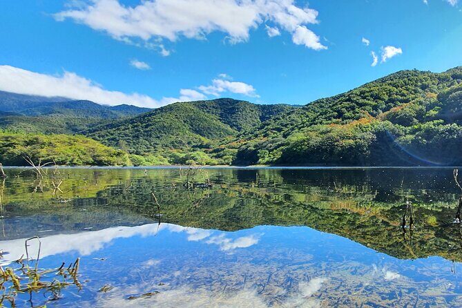 MTB Guided Ride, Tule Tree & Lake Half-Day - Who Will Love This Tour?