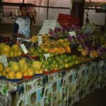 Mud Pools-Nadi Private Therapeutic Pools, Gardens, Temple, Market &Shopping Tour - Who Is This Tour Best For?