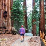 Muir Woods and Sausalito Half Day Tour - What’s Included and What’s Not